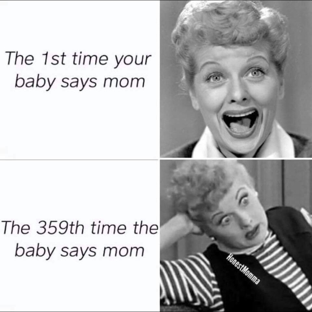 Meet your Posher, Molly